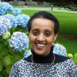 Sarah Mesfin staff